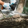 STIHL MS 151 TC-E fagondozó láncfűrész